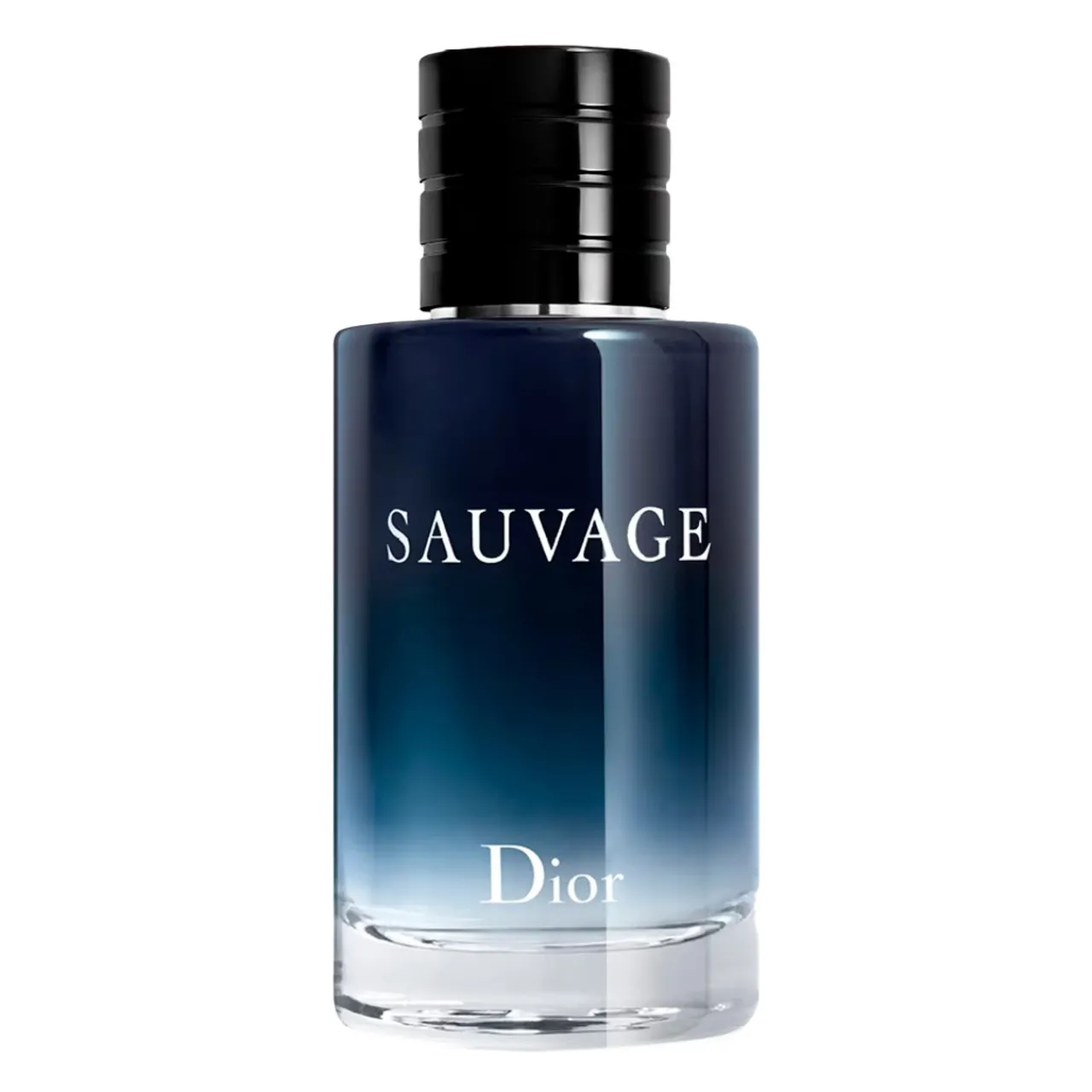 Sauvage 100 ml EDT Hombre (Rellenable)-Christian Dior Discount